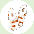 ちくわのイラスト